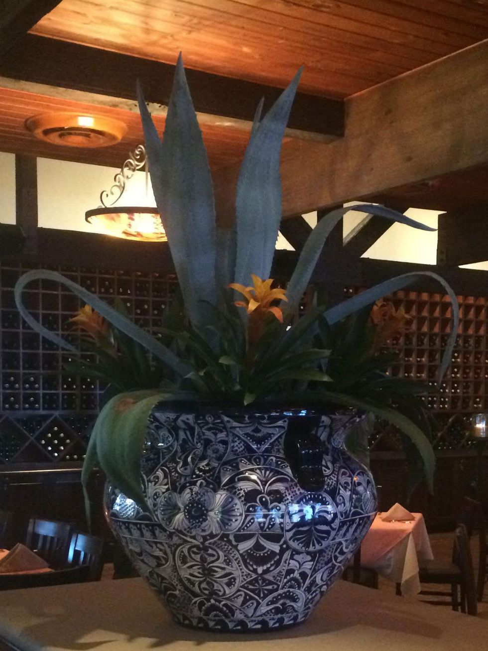 Pico's Kirby Agave urn