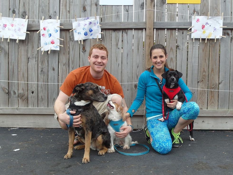 Pics from snap 2 at Paint with Your Pet February 2014