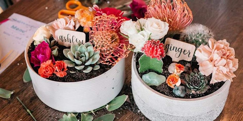 Plant Project succulent garden