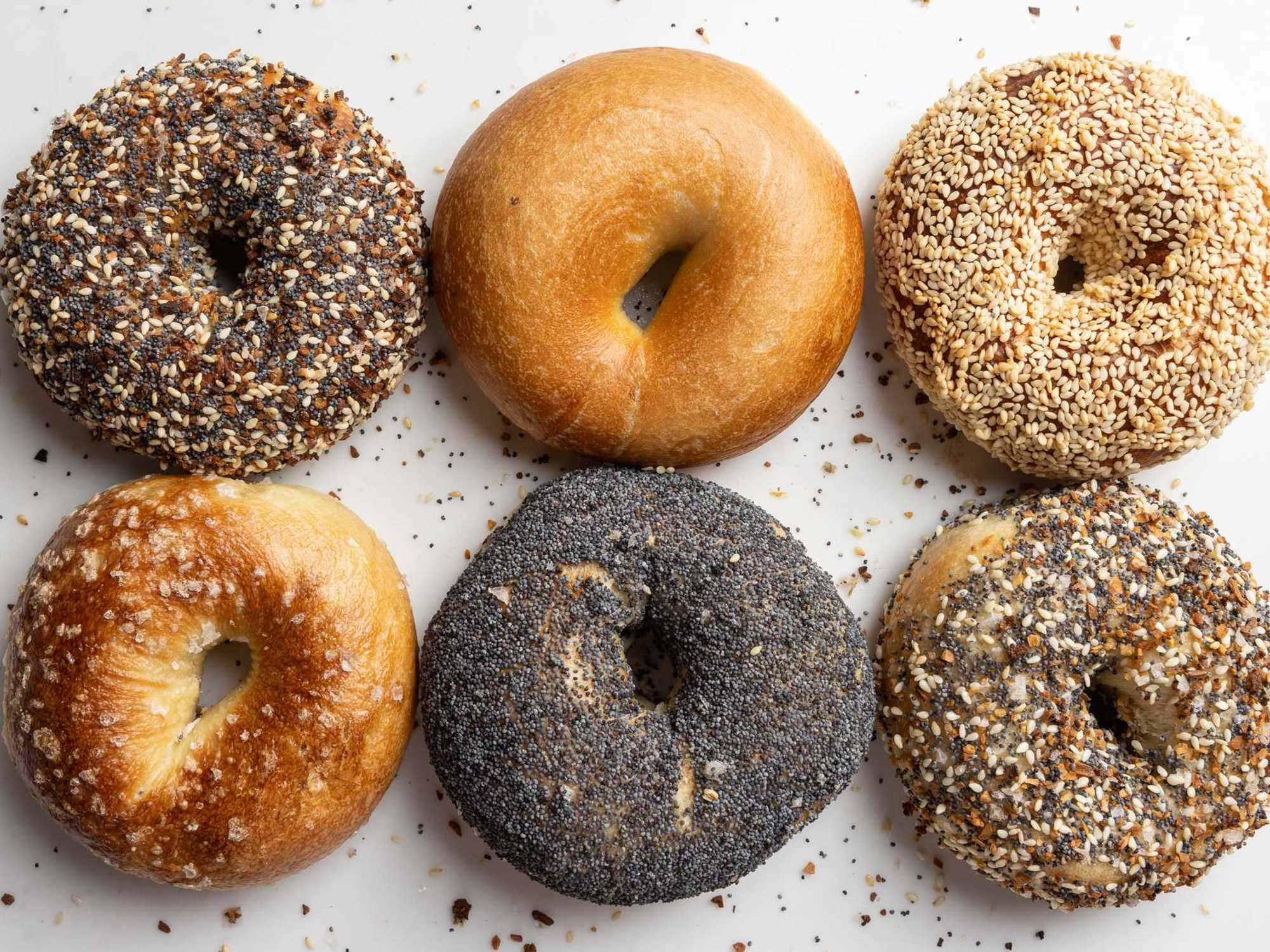 PopUp Bagels