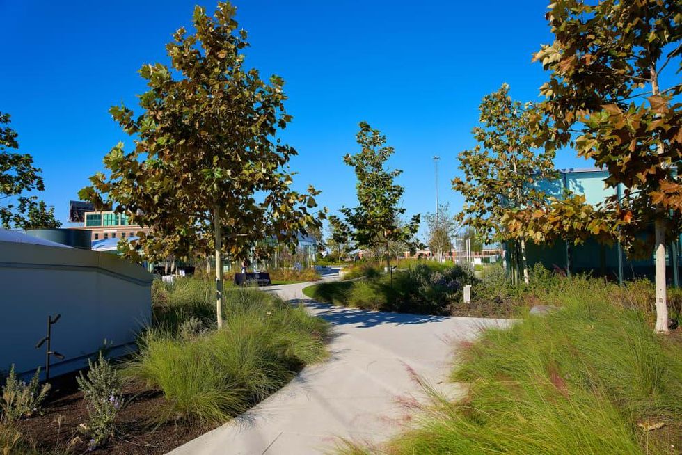 Post Houston opening day