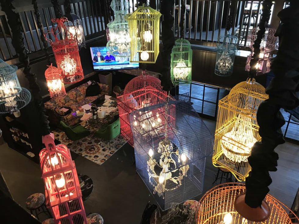 Present Company bird cages