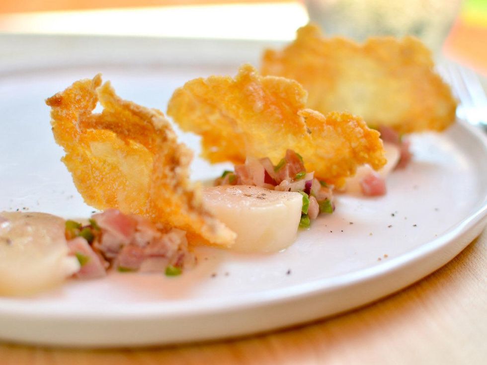 Preview Modern Seafood Cuisine ceviche tuna ceviche, torched scallops and snapper chips