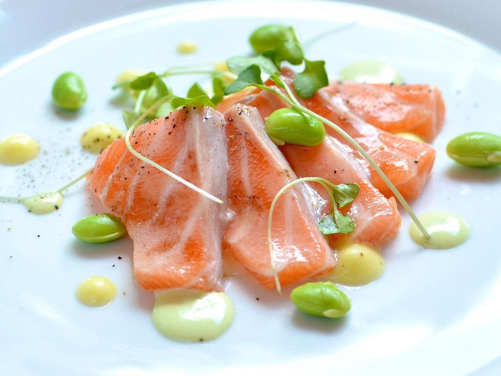 Preview Modern Seafood Cuisine New Zealand ora king salmon with apple emulsion, edamame puree and pickled lemon