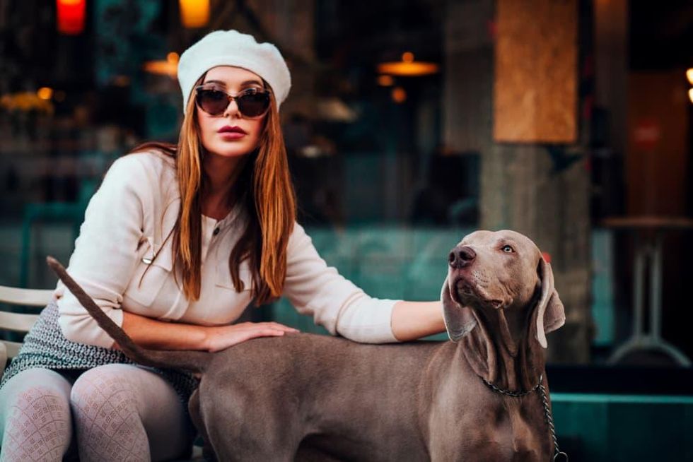 Pucci Cafe & Pet Boutique Houston Katy