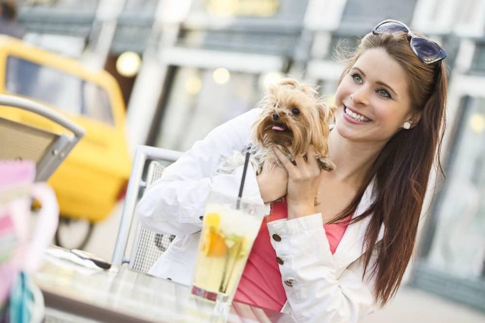 Pucci Cafe & Pet Boutique Houston Katy