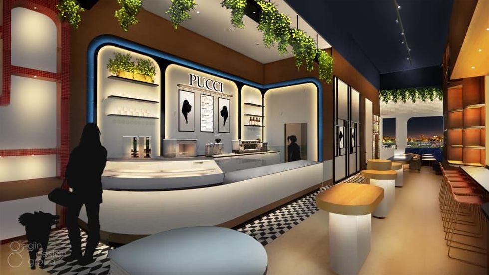 Pucci Cafe & Pet Boutique Houston Katy