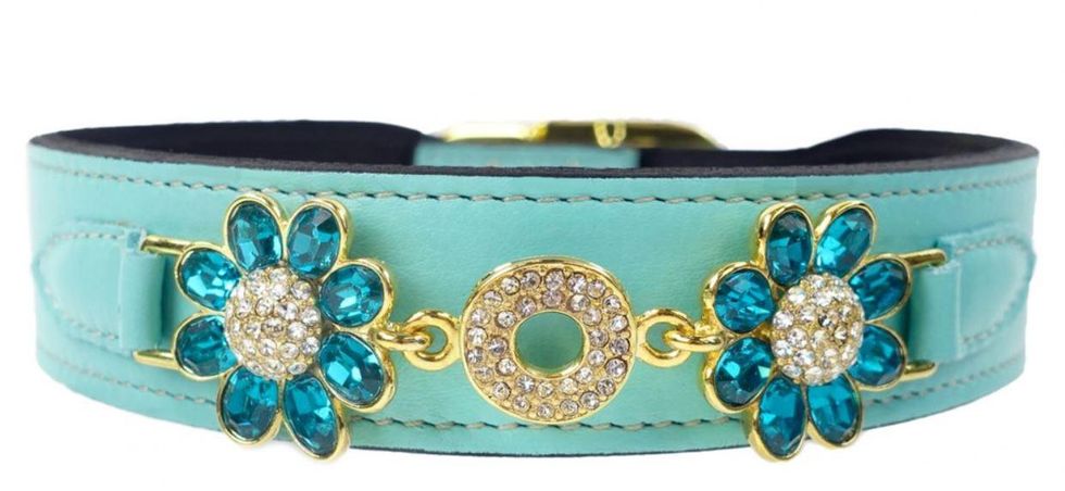 Pucci Daisy dog collar