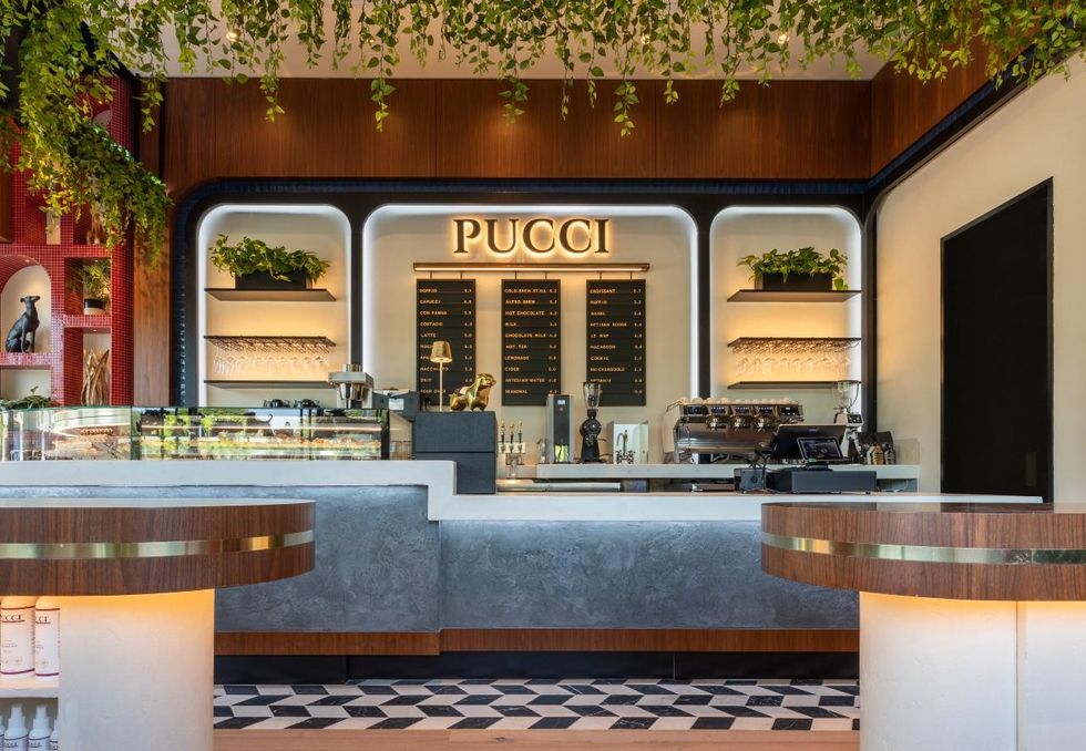 Pucci Katy cafe
