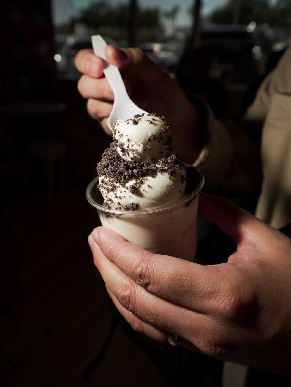 Pudgy's Fine Cookies Underground Creamery Meyerland ice cream
