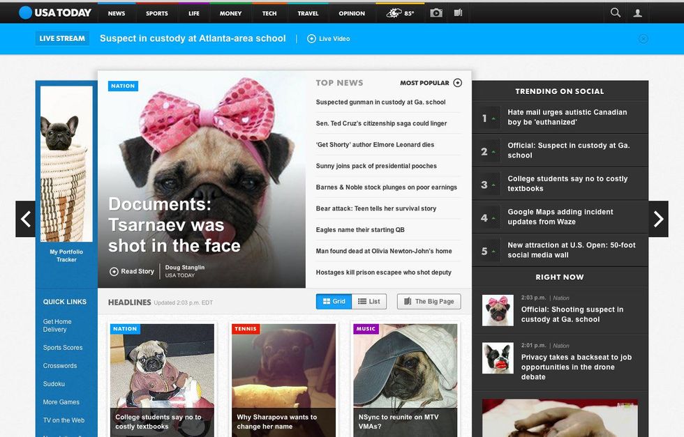 Puggin.it Pug plug in Rock Candy