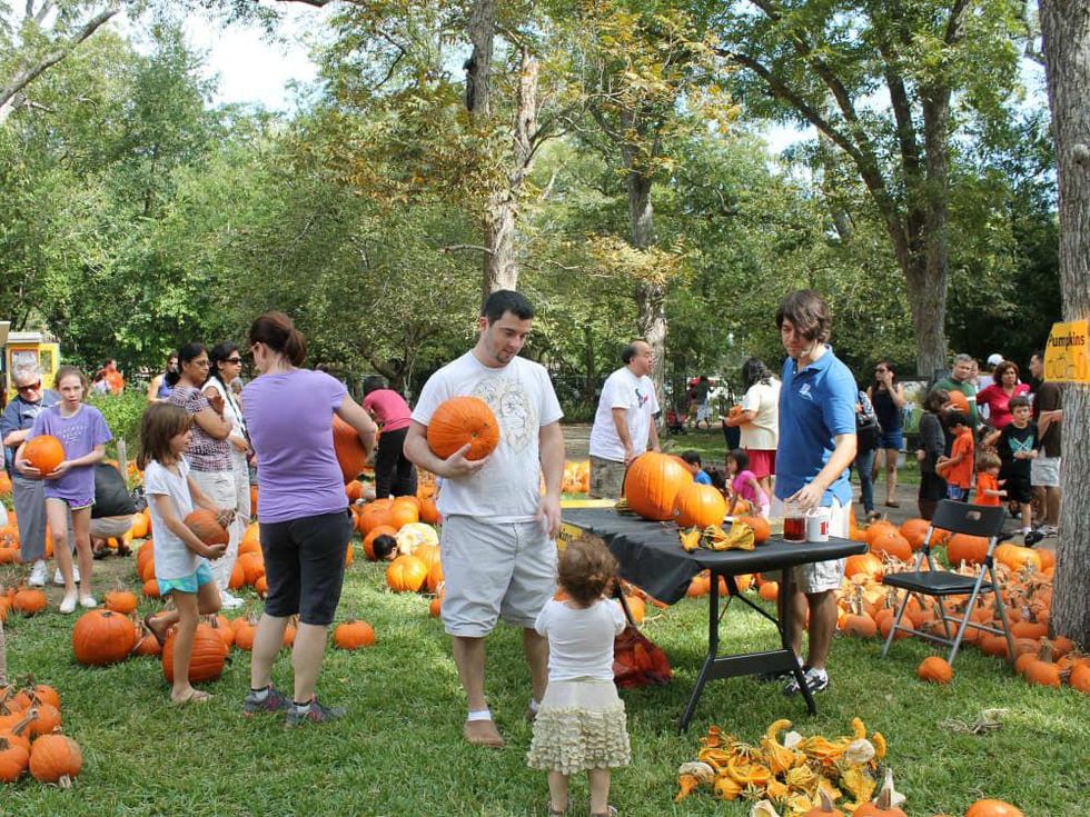 Pumpkin Patch & Fall Festival
