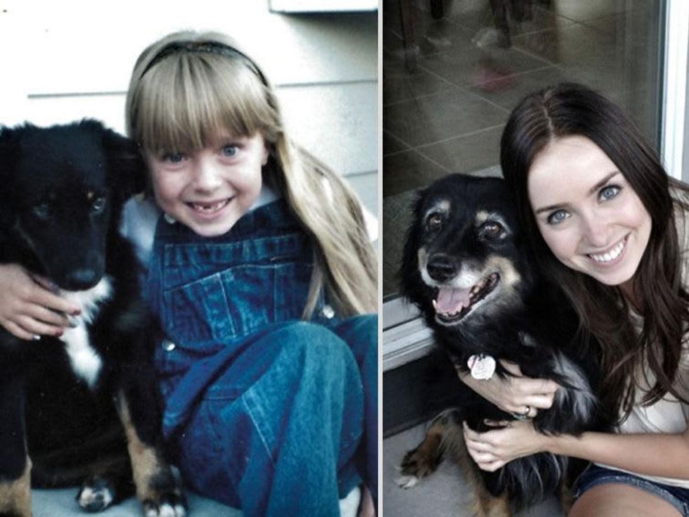 Puppy grows up with owner