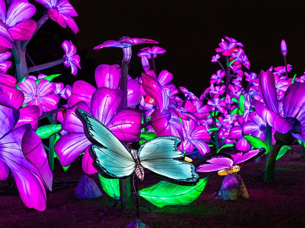 Radiant Nature at the Housotn Botanic Gardens 2025