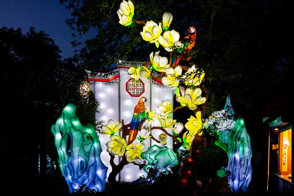 Radiant Nature light display of a parrot against a Chinese-inspired garden