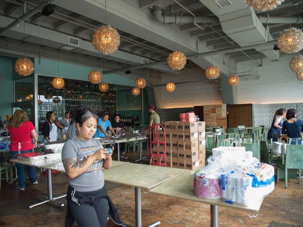 Reef Jennifer Bryan Caswell Harvey Relief