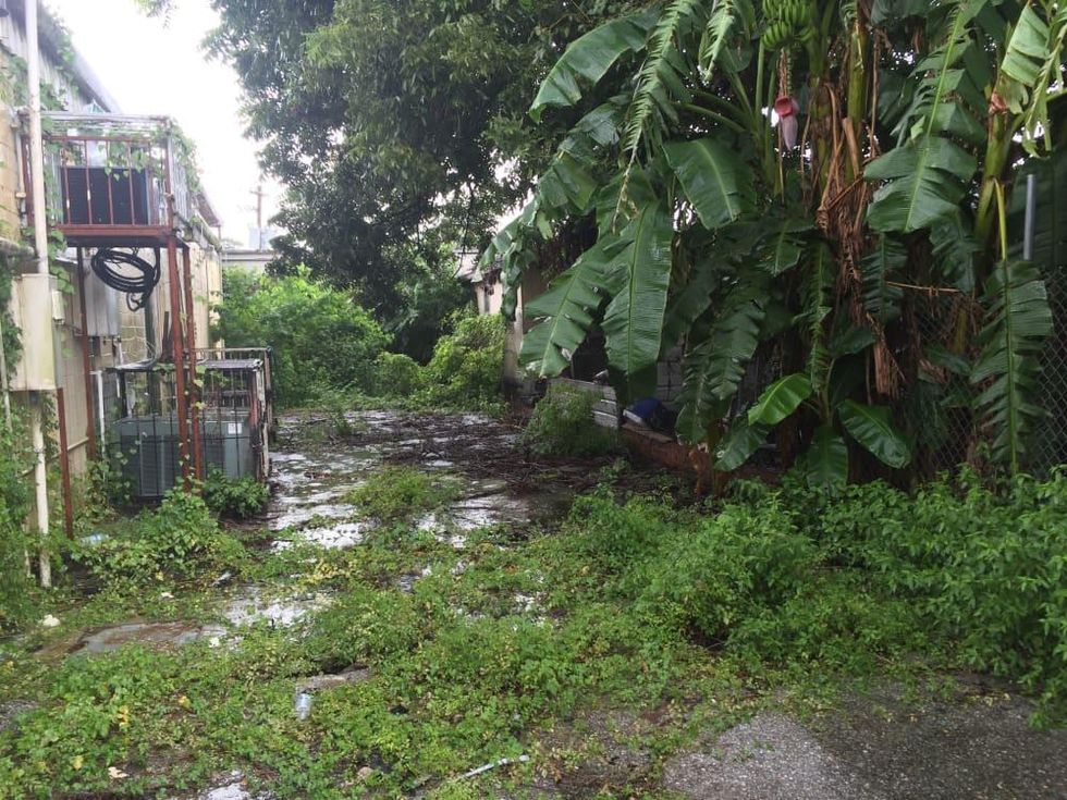 Restaurant Indigo rear garden