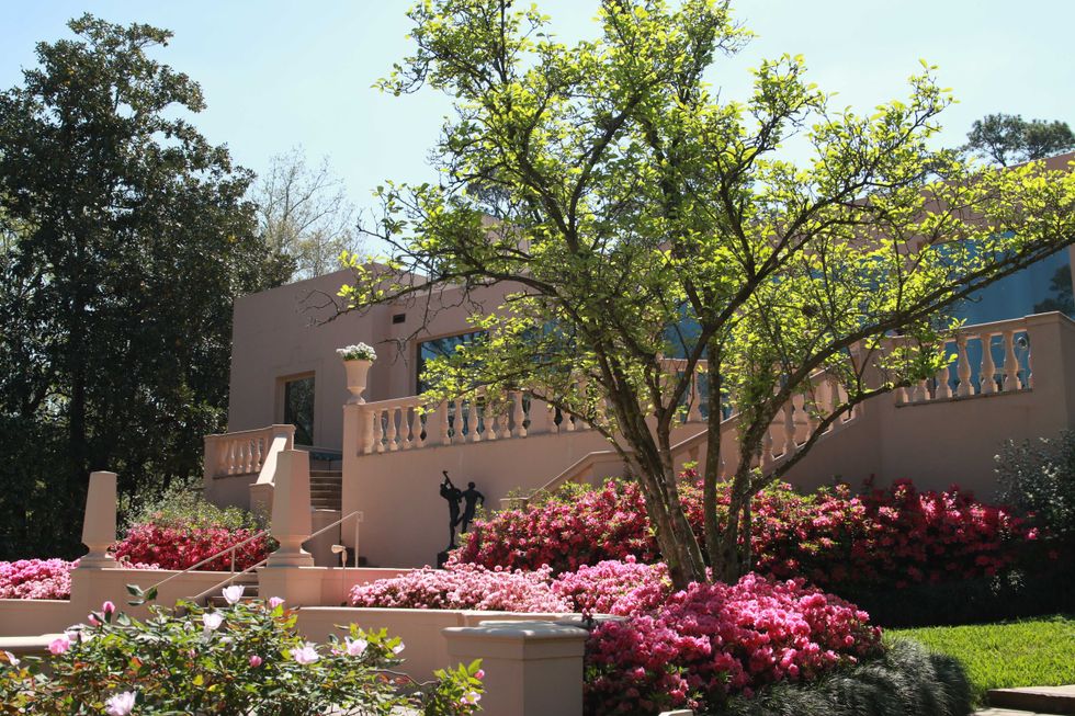 Rienzi House gardens