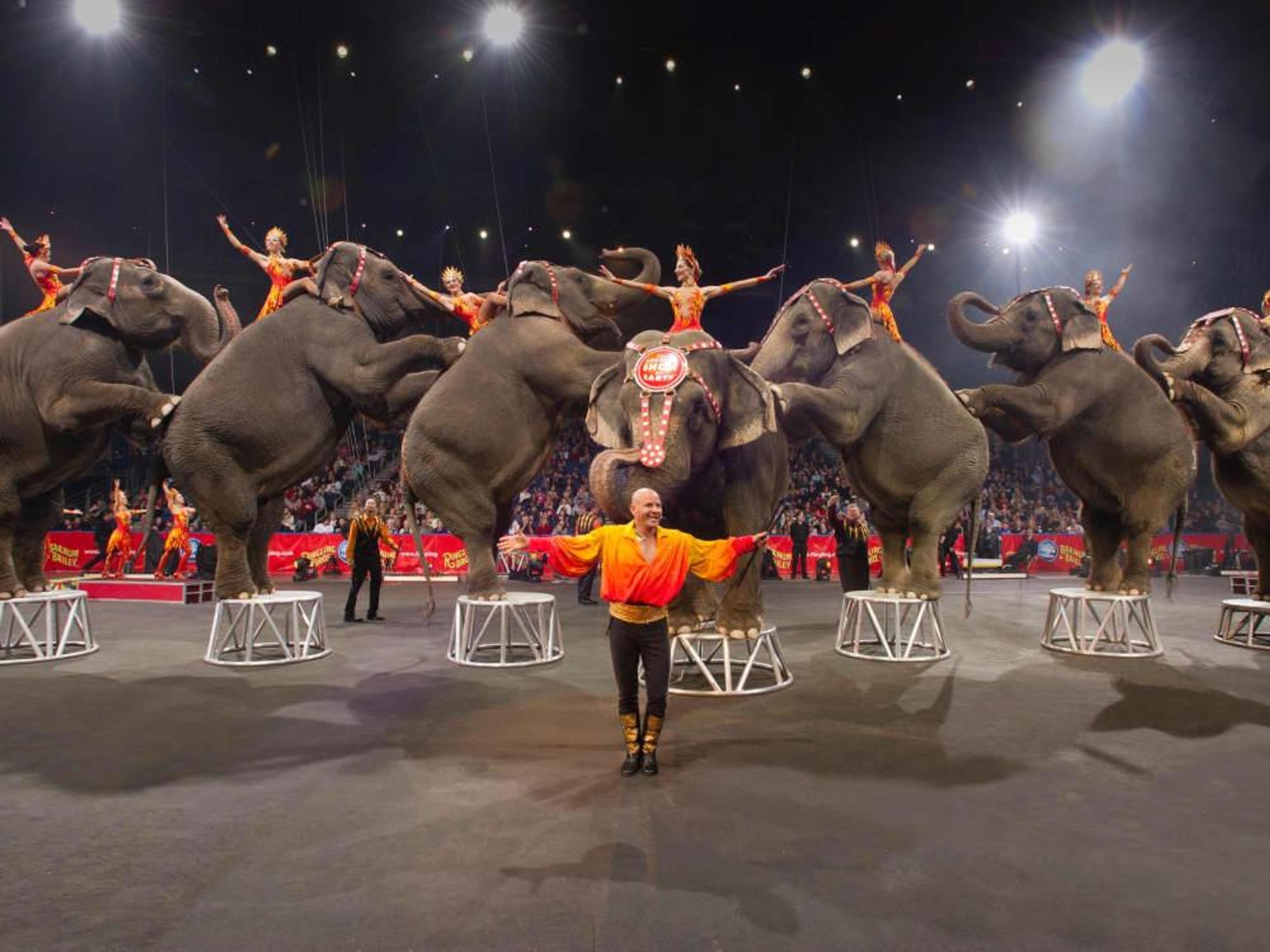 Ringling Bros. and Barnum & Bailey Circus