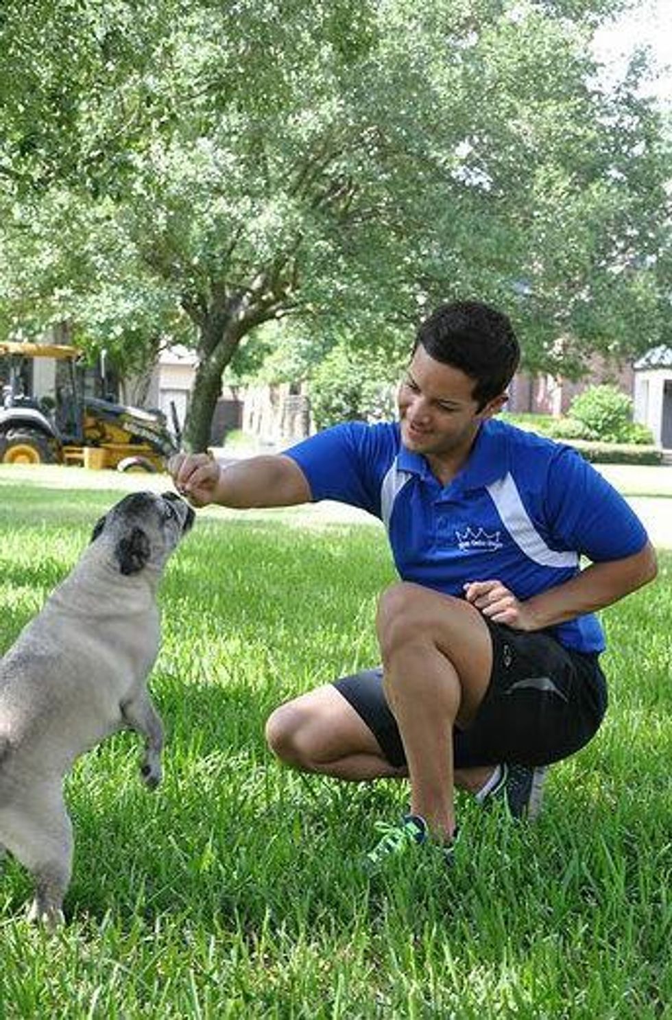 River Oaks Dogs Gregory and Miles