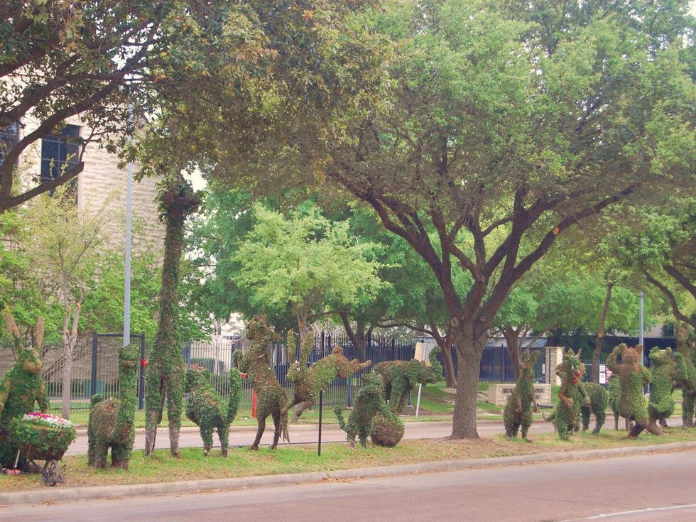 River Oaks Plant House topiaries on median