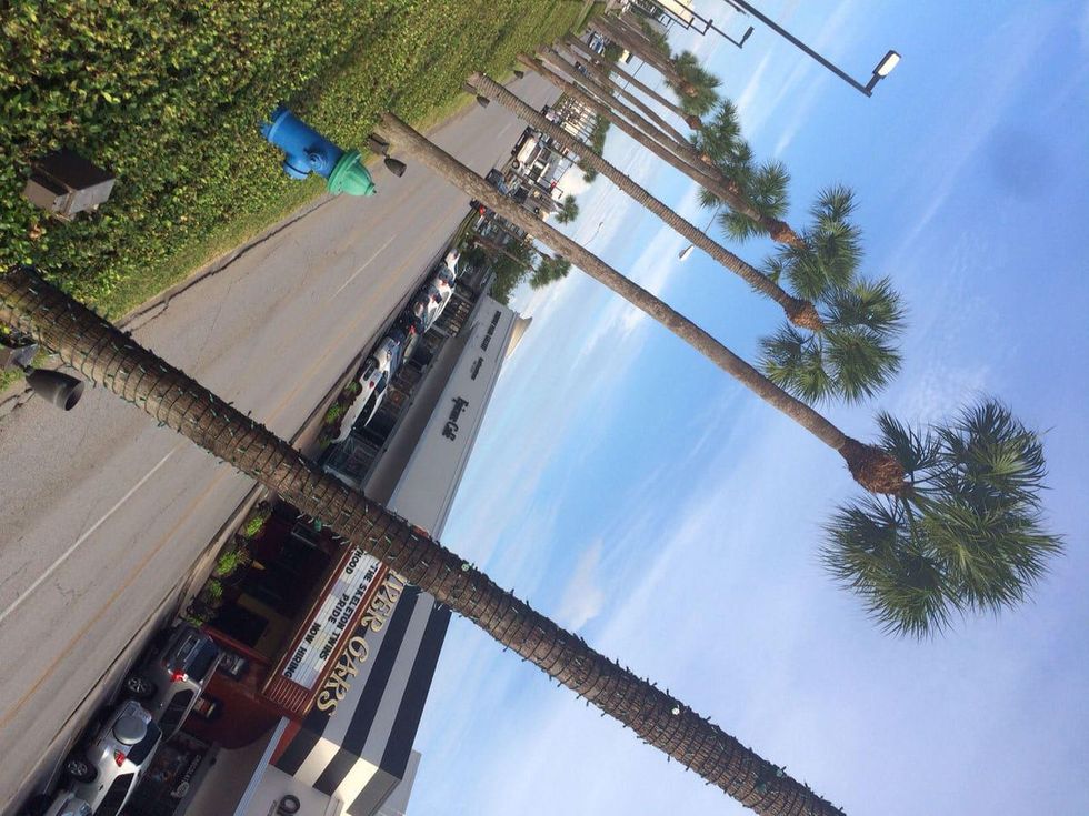 River Oaks Shopping Center with palm trees