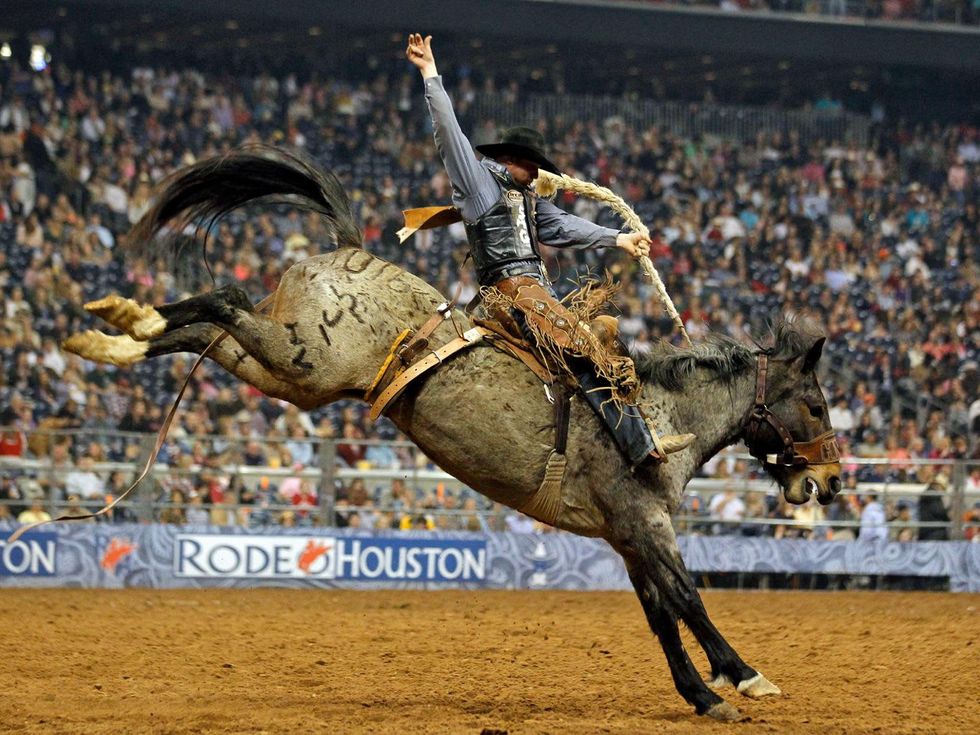 Rodeo Houston cowboy riding a bucking horse