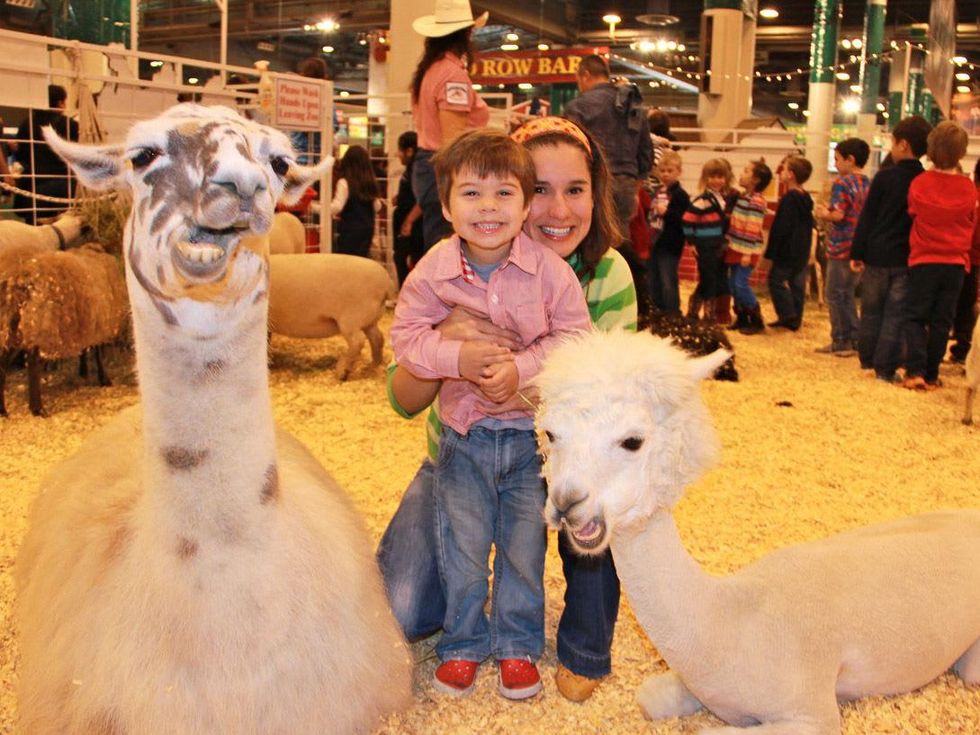 RodeoHouston, family friendly attractions, March 2013, petting zoo
