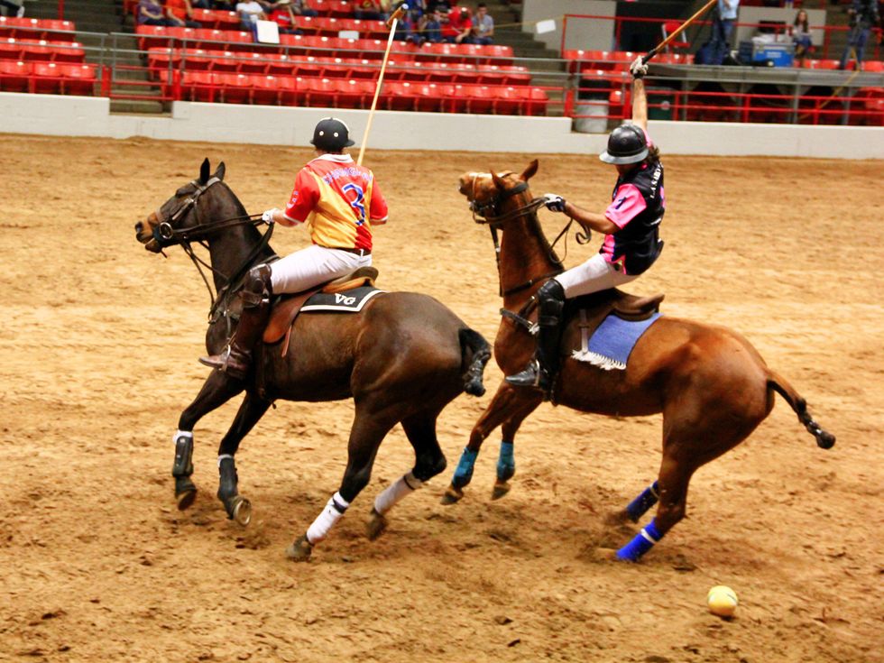 RodeoHouston, polo at the rodeo, March 2013