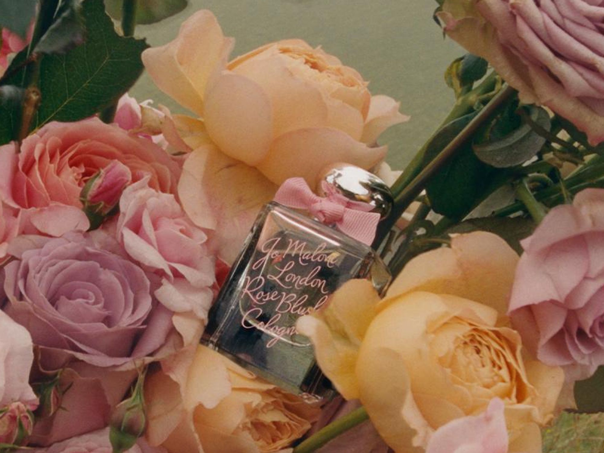 Roses and perfume bottle