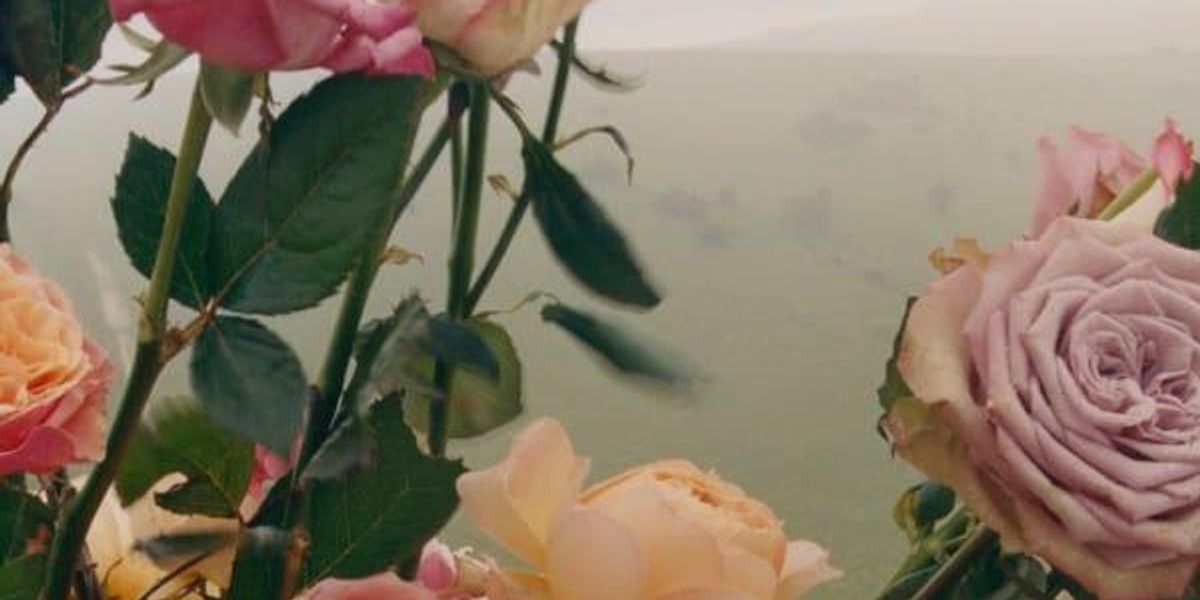 Scents and sensibility: Where to find the most enchanting, celeb-approved perfumes in Houston Scents and sensibility: Where to find the most enchanting, celeb-approved perfumes in Houston