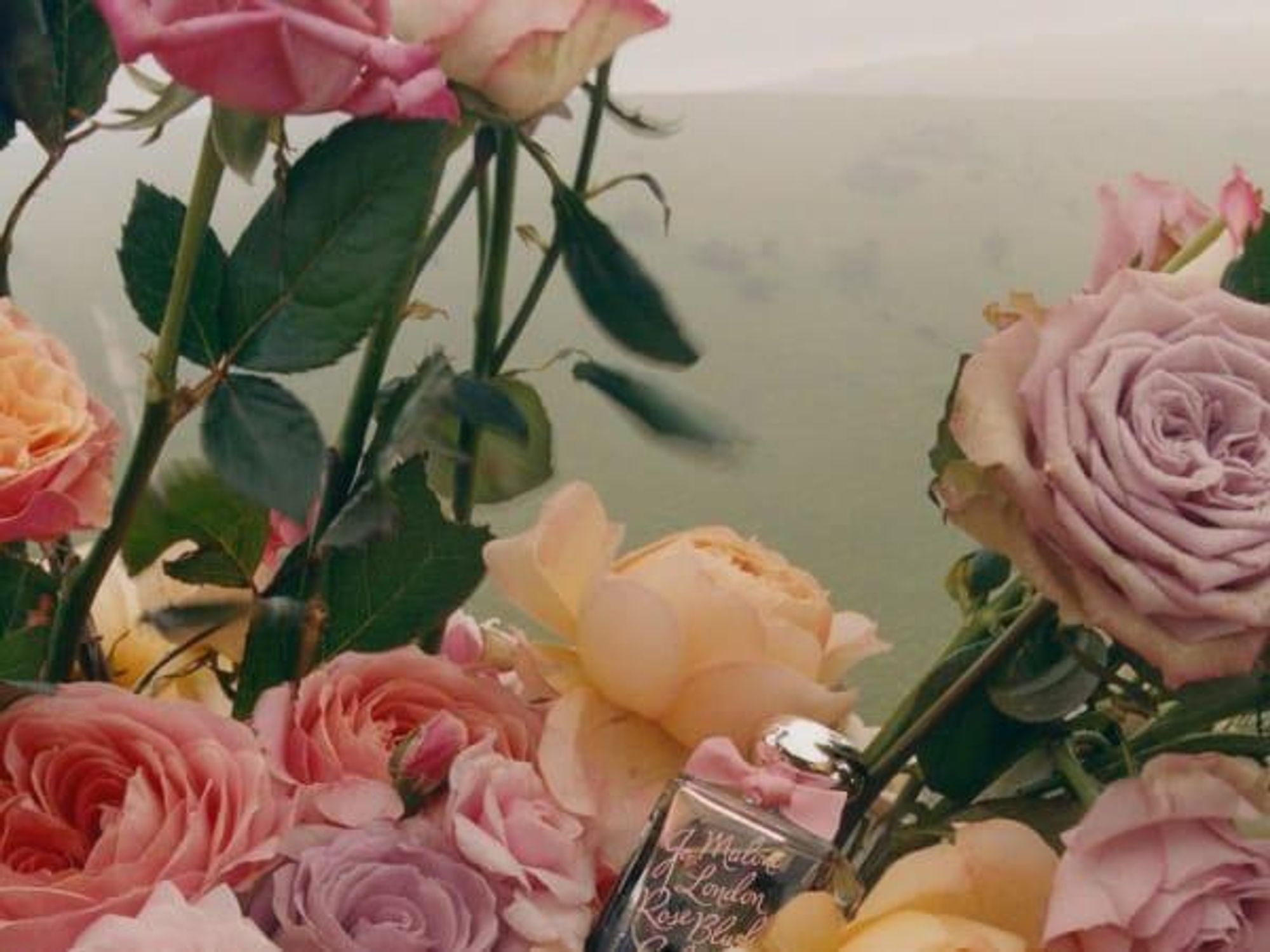 Roses and perfume bottle