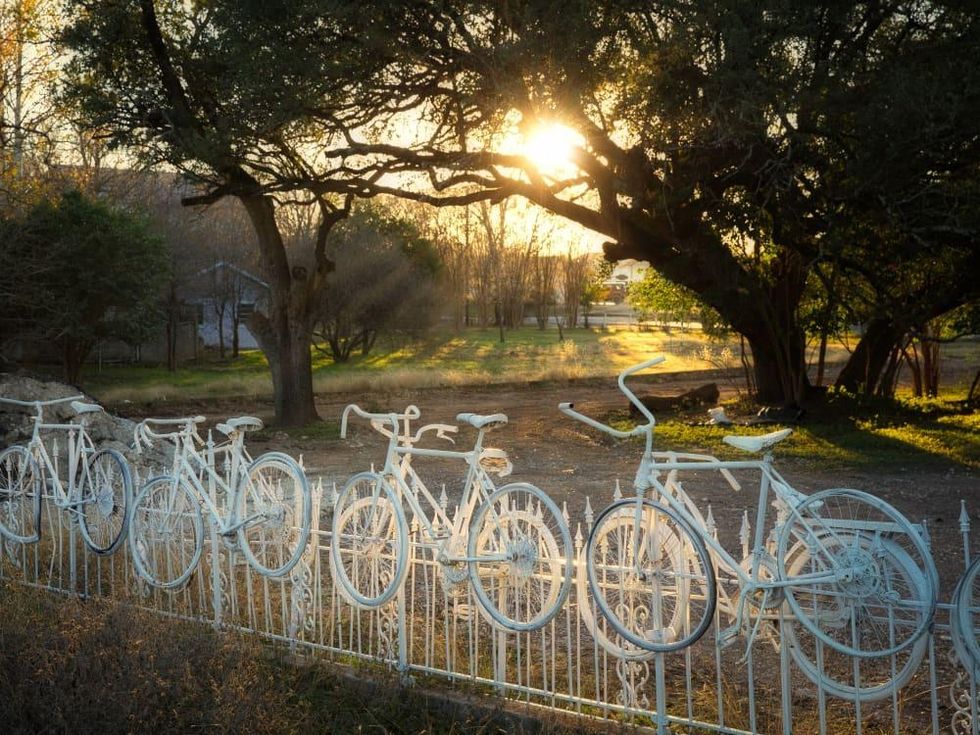 salado bikes public art