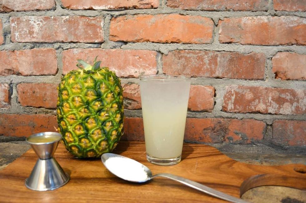 Sarah Troxell Shrubs