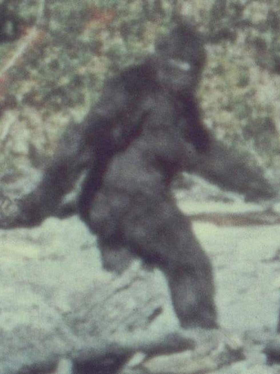 Sasquatch big foot