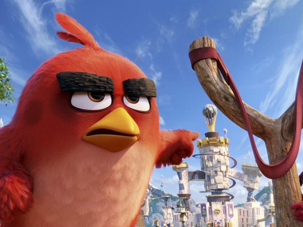 Scene from The Angry Birds Movie