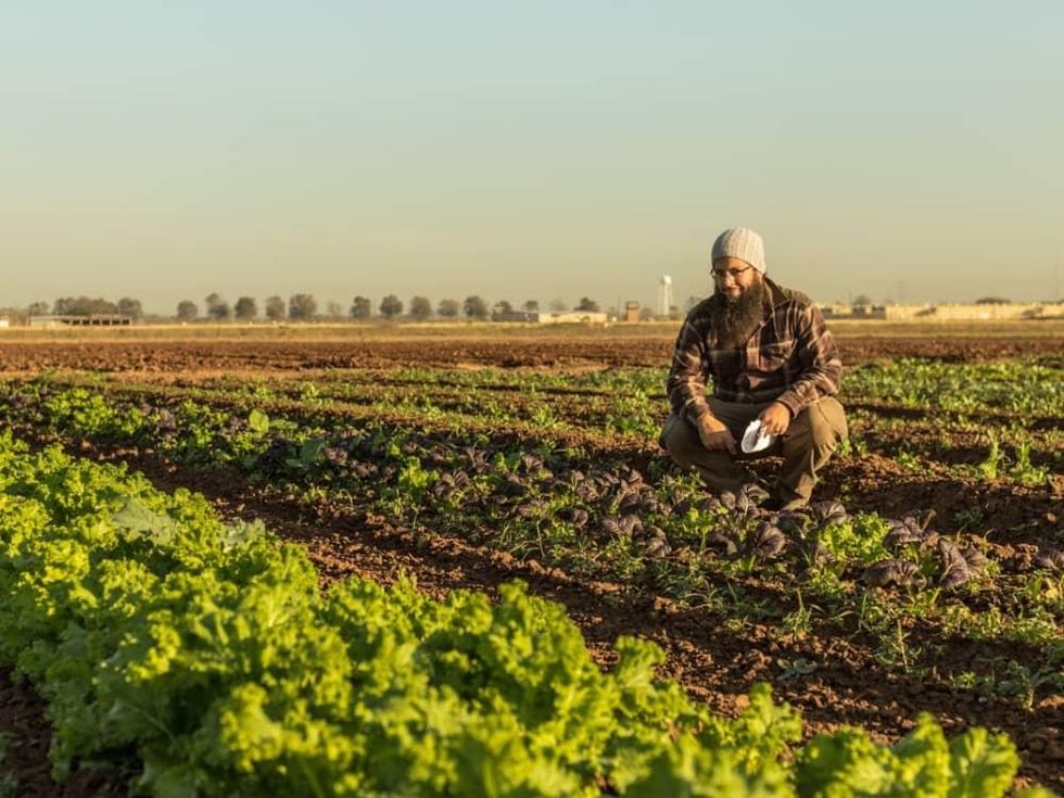 Scott Snodgrass Loam Agronomics