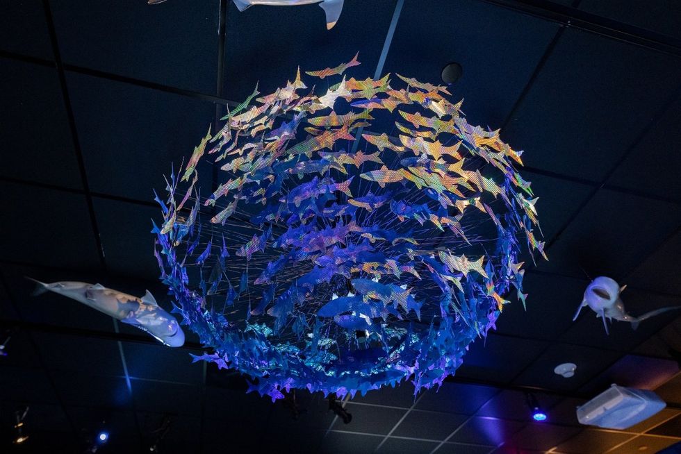 Sharks! The Meg, The Monsters & The Myths HMNS