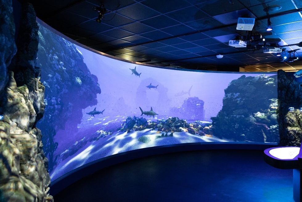 Sharks! The Meg, The Monsters & The Myths HMNS