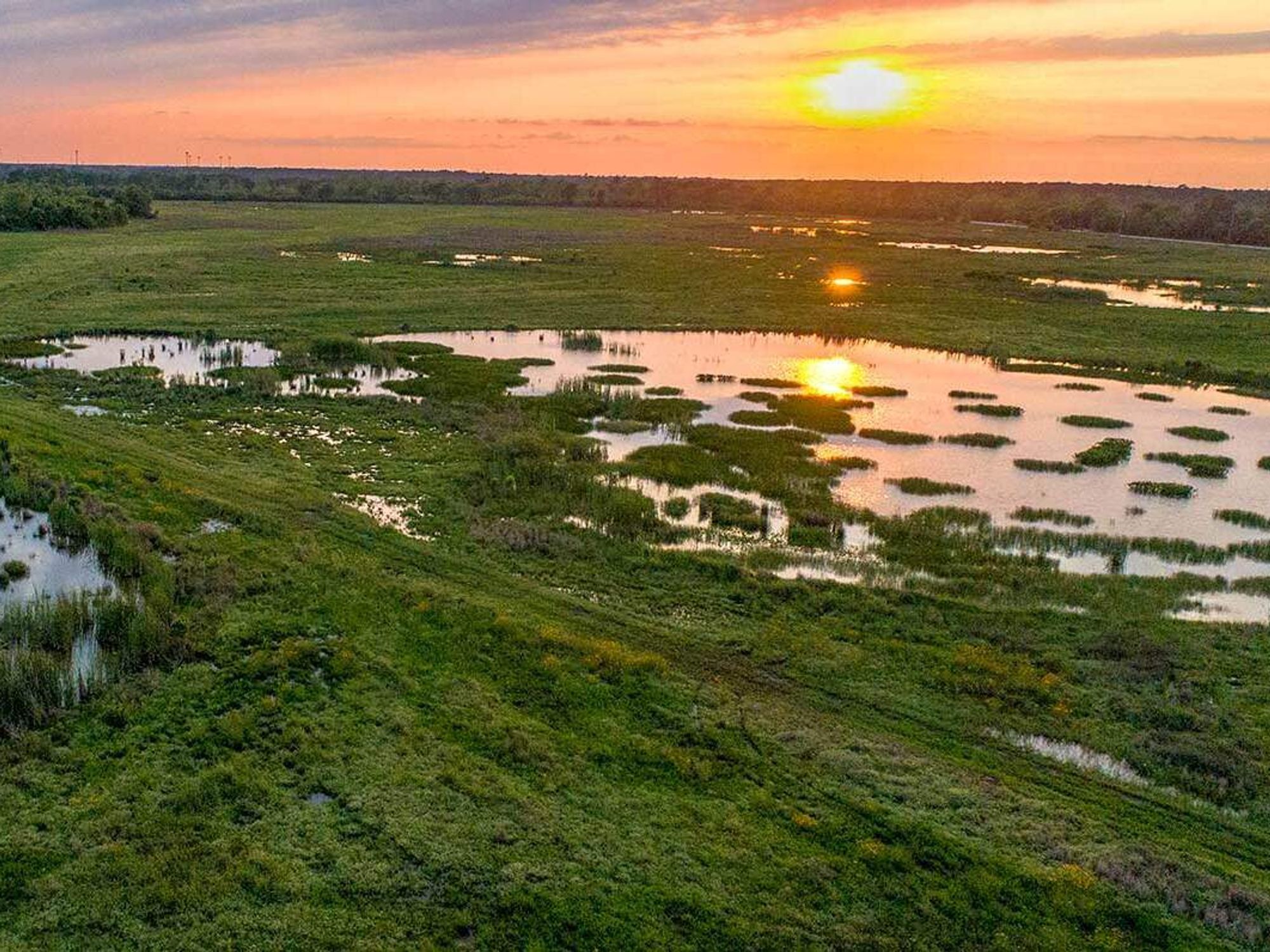 Sheldon Lake State Park and Environmental Learning Center in Houston, Texas