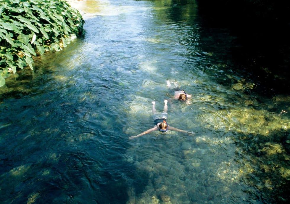 Snorkeling in the San Marcos River
