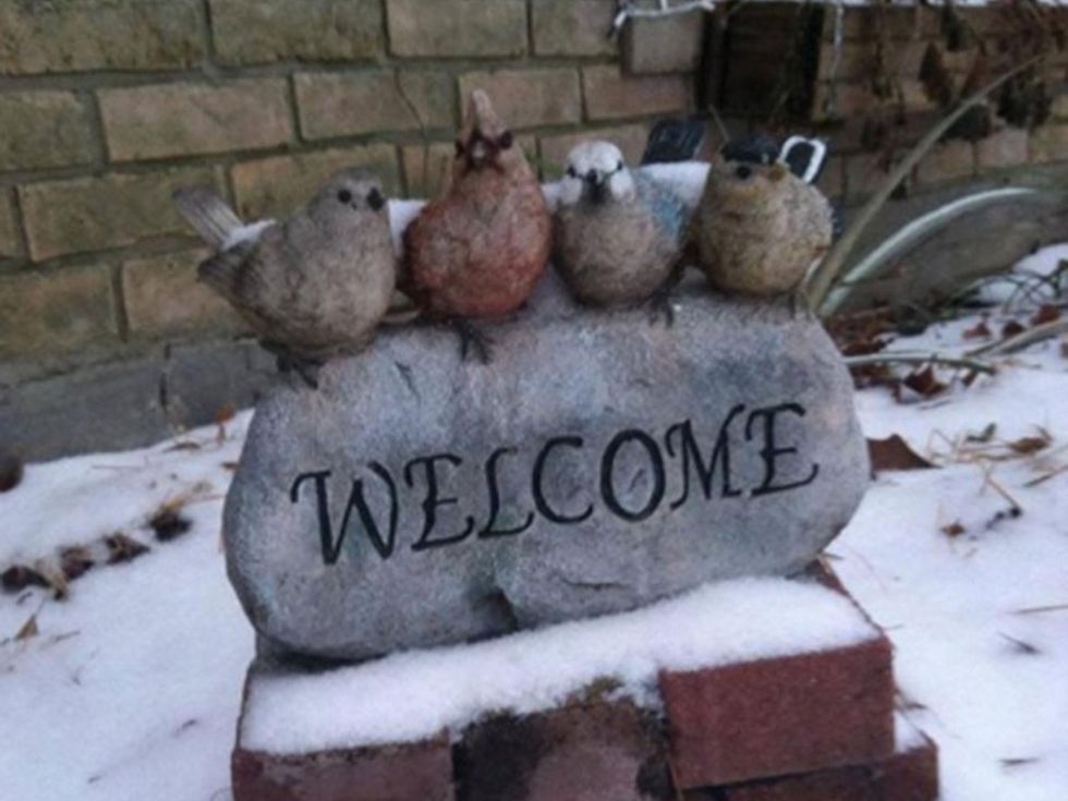 snow in Houston welcome