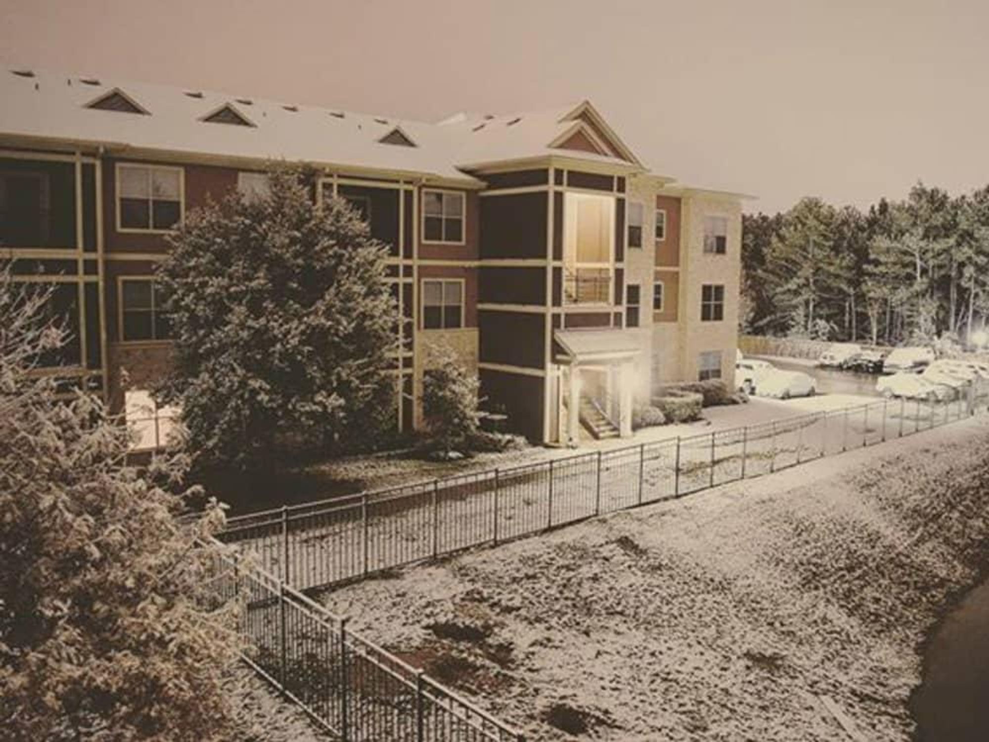 Snow in the Houston Woodlands