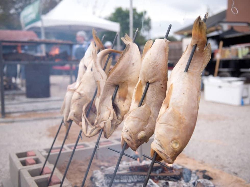 Southern Smoke grouper