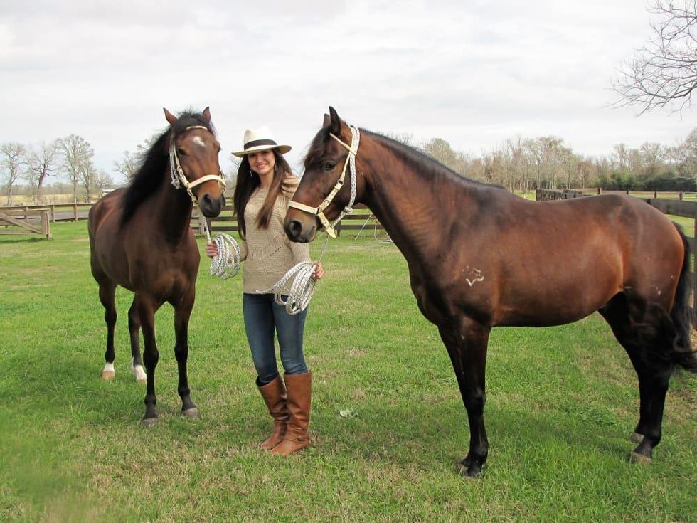 Southwestern Paso Fino Horse Association presents Fandango Tejas 2017