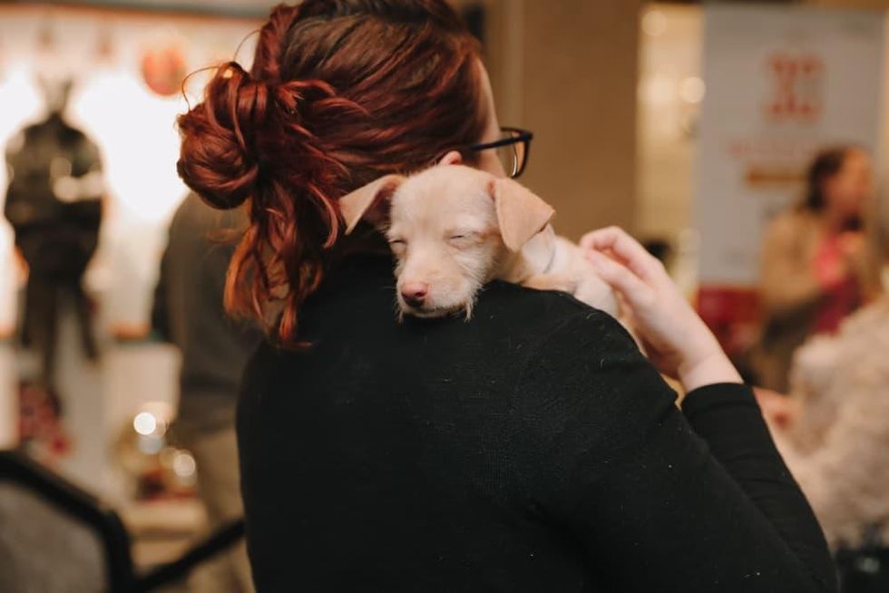 SPCA Neiman Marcus Holiday Windows of Life puppies kittens Houston