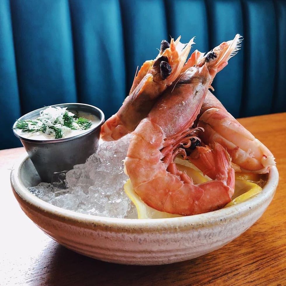 Squable Alabama royal red shrimp