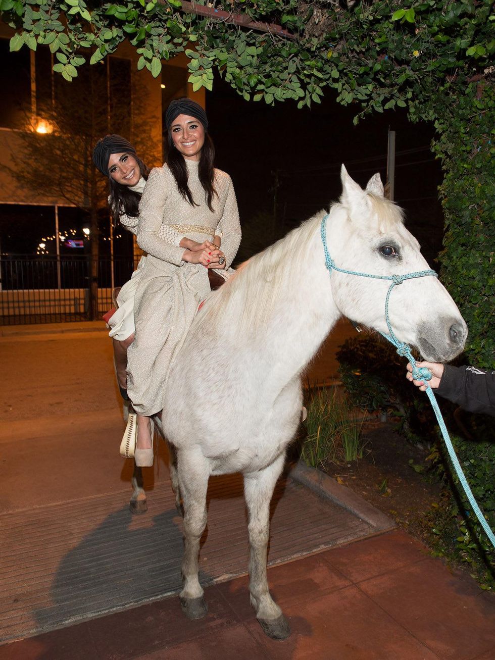 Stages Repertory Theatre gala, April 2013, Sarah Jawda, Saba Jawda, horse