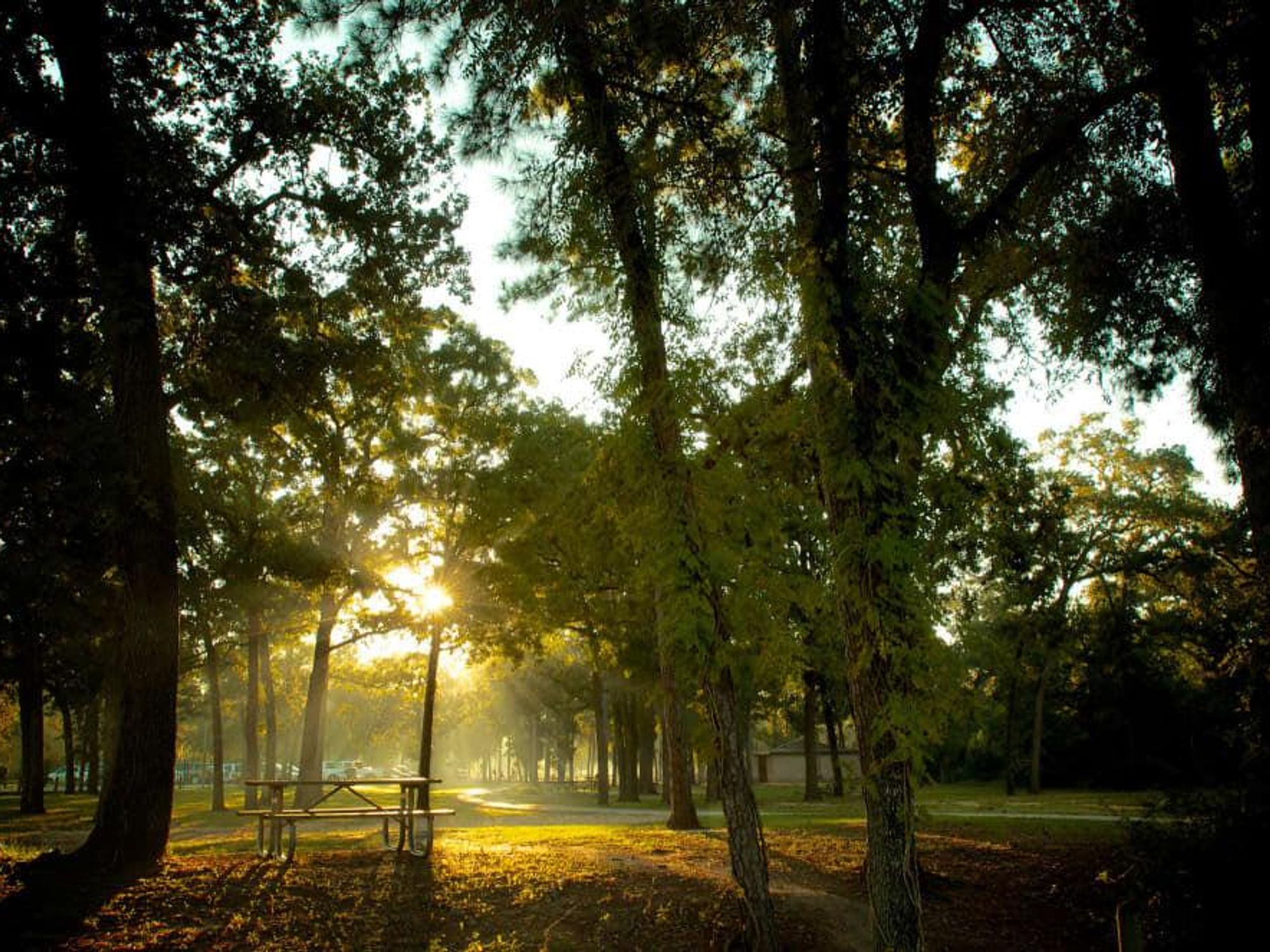 State of the Park breakfast
