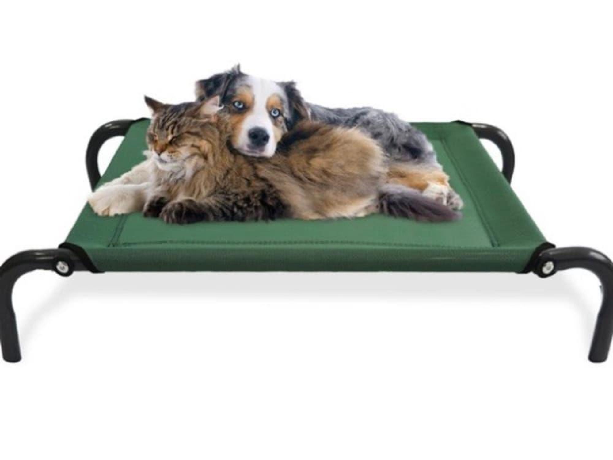 steel-framed raised pet bed on Groupon